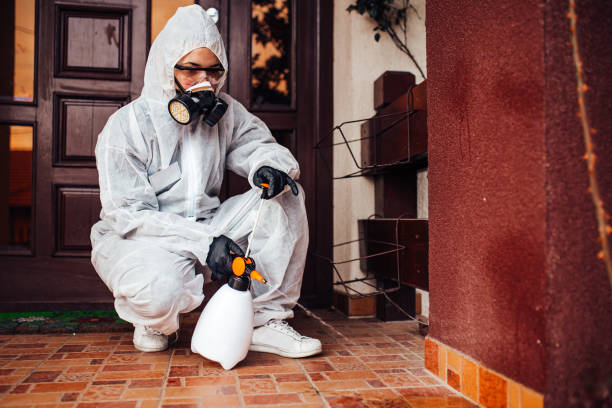 Reliable Ant Control contractor in Fillmore, UT by Show Me Pest Control